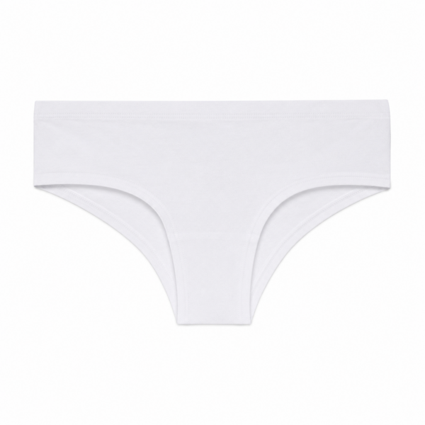 Seamless Modal Brief
